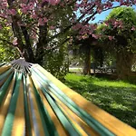 3-4 Entire Site Private Pool For Relaxing Holidays & Special Occasions Near Aubeterre Nyaraló